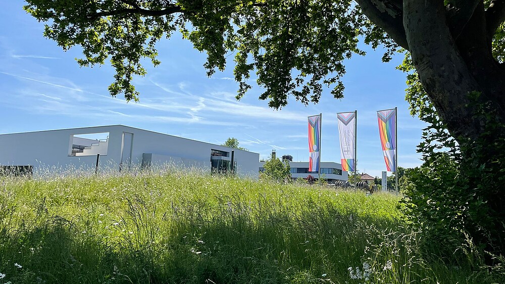 Pride-Flaggen auf dem Zittauer Campus der HSZG.