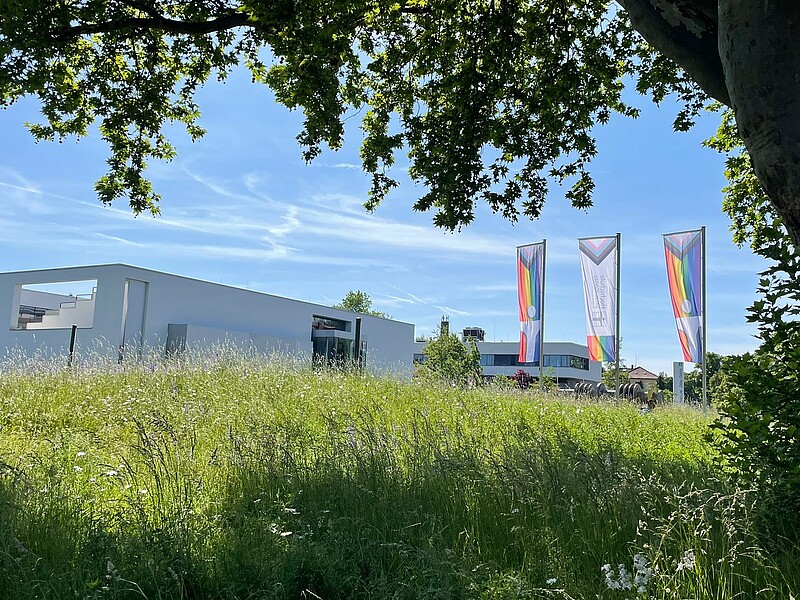 Pride-Flaggen auf dem Zittauer Campus der HSZG.
