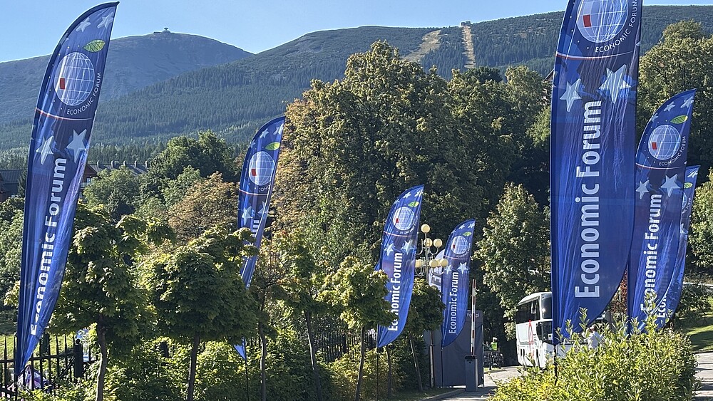 Blaue Fahnen stehen auf einen begrünten Fläche, im Hintergrund ragt der Berg Schneekoppe auf.